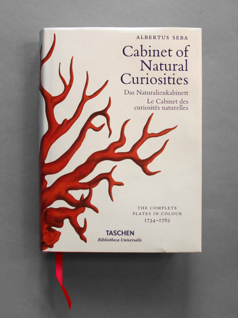 CABINET OF NATURAL CURIOSITIES